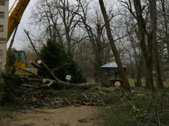 Intervention d'urgence à châteauneuf-sur-Sarthe Intervention d'urgence à châteauneuf-sur-Sarthe