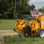 Rognage de souches dans le département du 49 service de rognage de souches