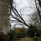 Élagage d'urgence dans le Maine-et-Loire service d'élagage d'urgence